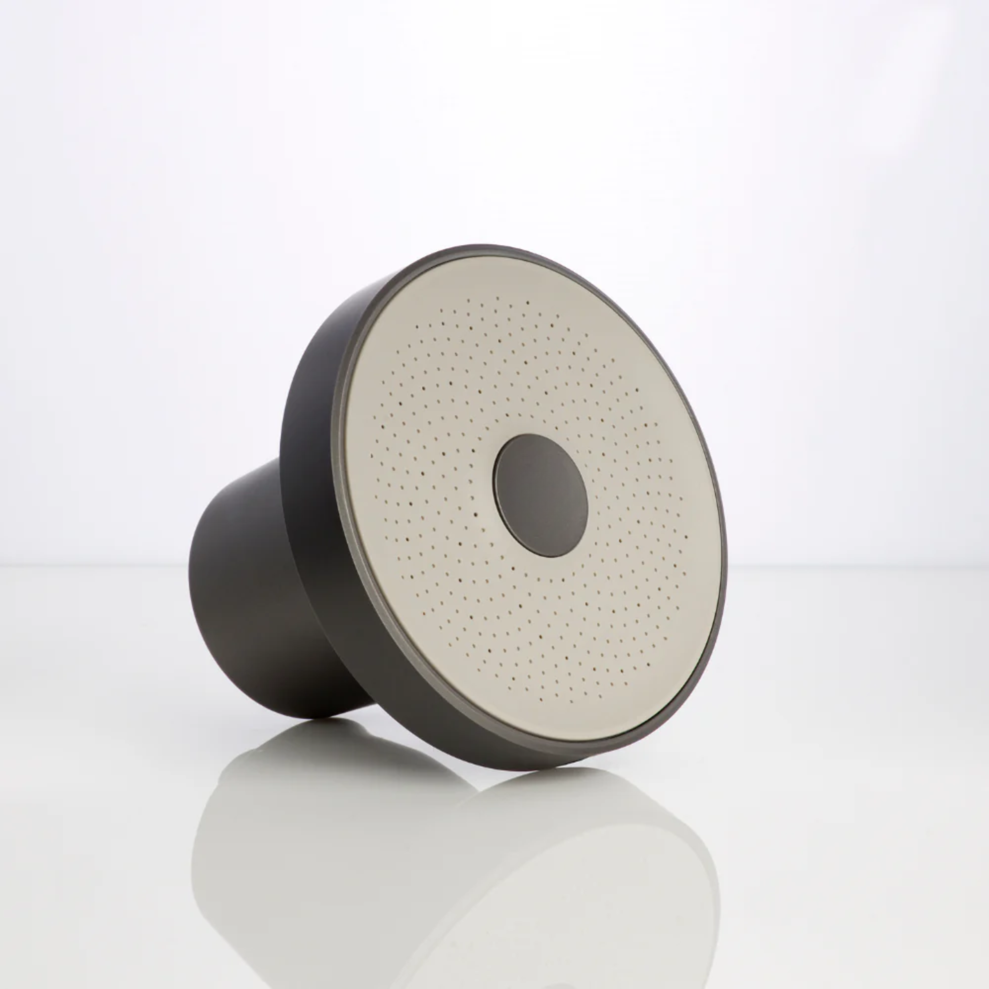 The Rinsed | Filtered Rain Shower